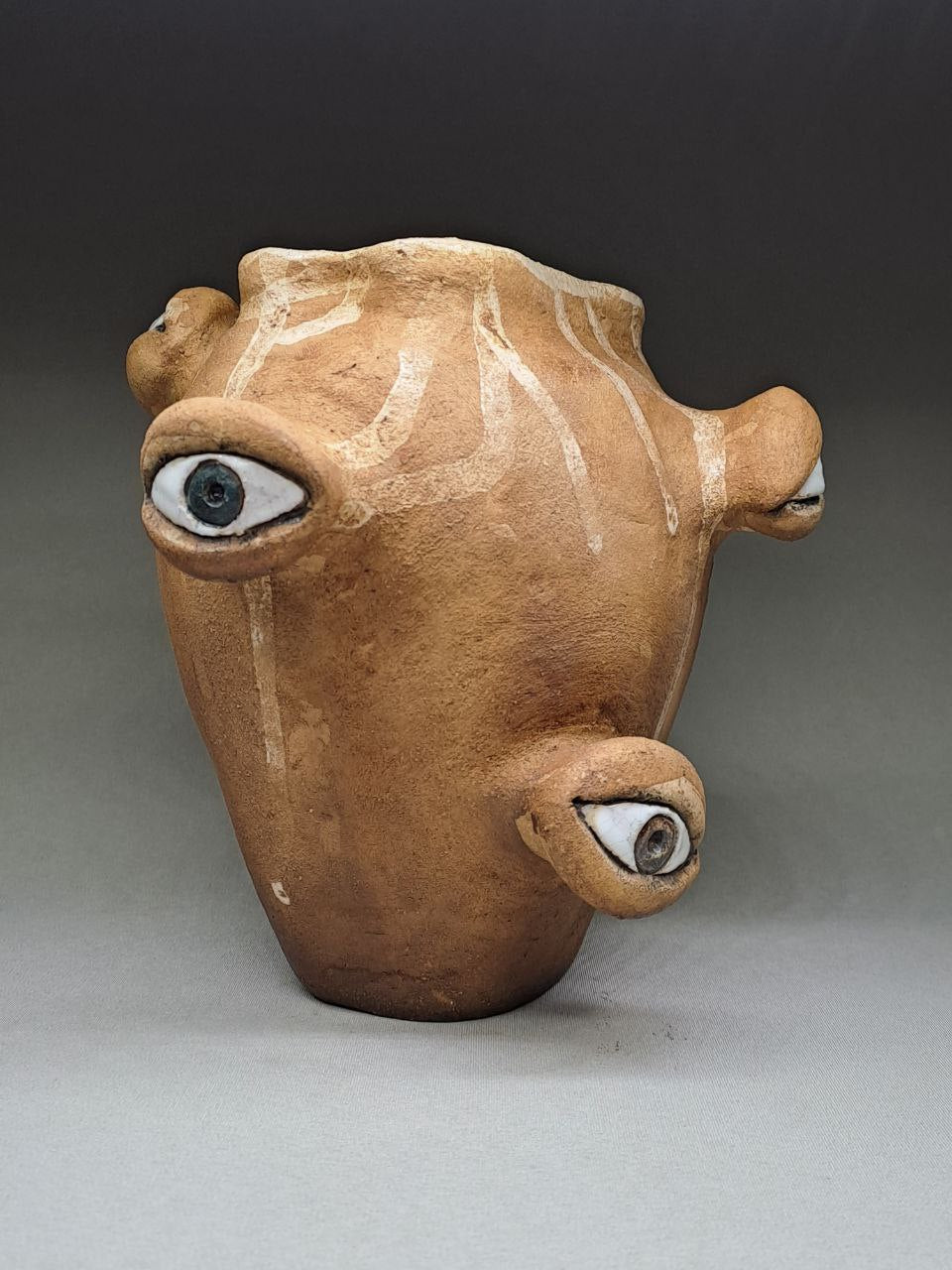 "Observation" Hand-Sculpted Ceramic Vase 