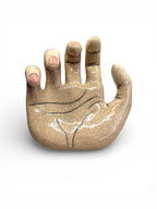 "The Male Hand" Ceramic Decorative Wall Hook – Anatomical Art Sculpture